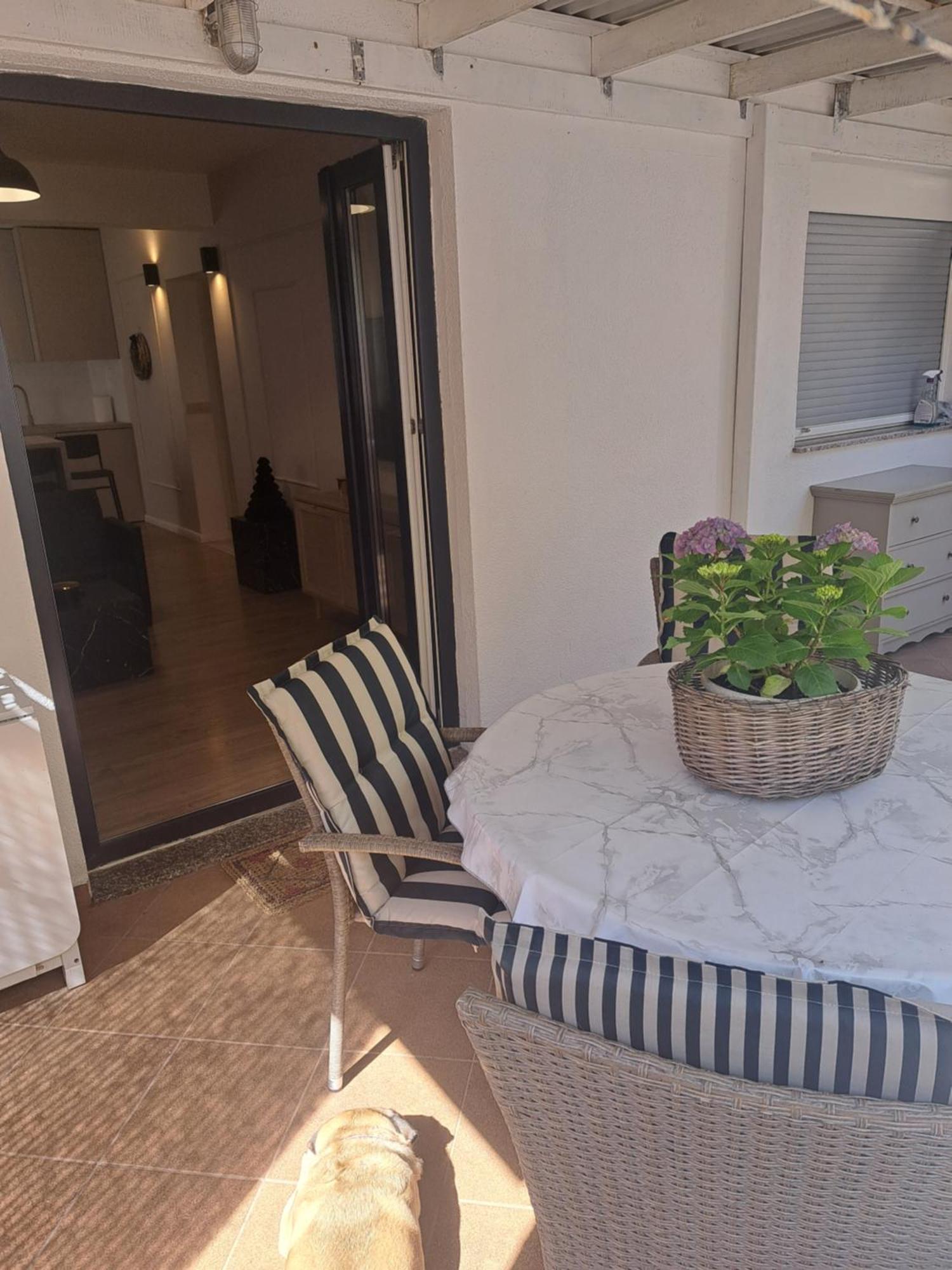 Apartman Petra 자다르 외부 사진