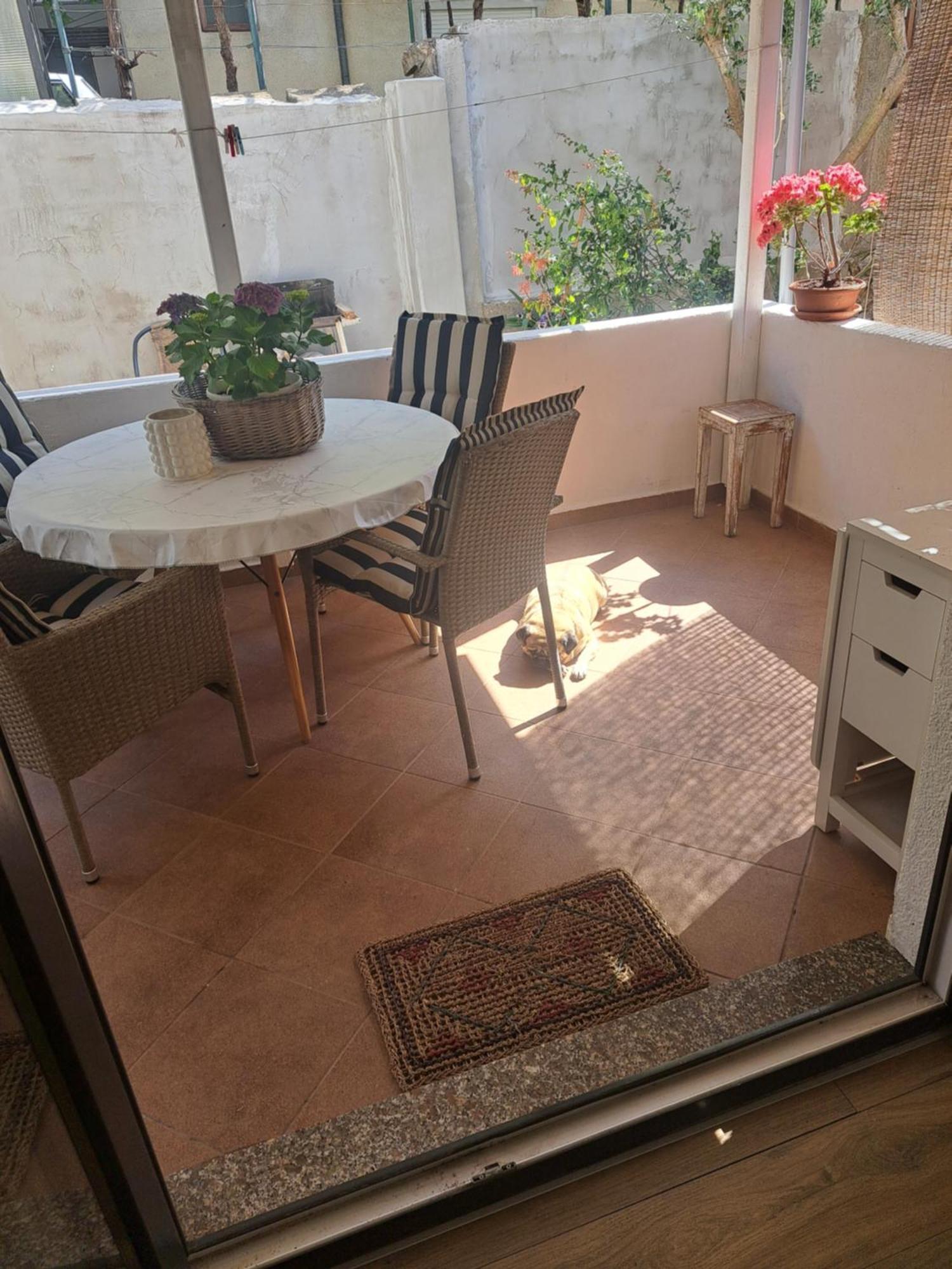 Apartman Petra 자다르 외부 사진